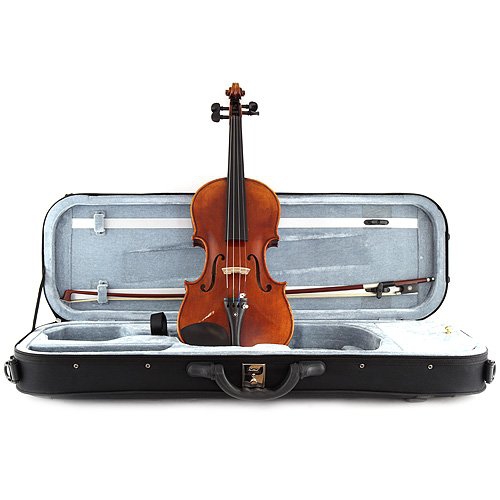  4 Stagg VN-4/4 XHG Violin - Keman
