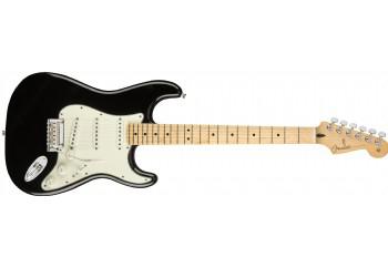 Fender Player Stratocaster - Elektro Gitar